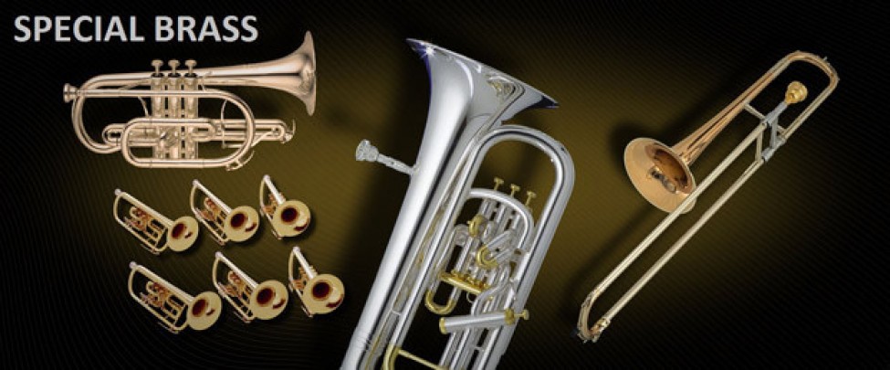 Special Brass | VSL - Vienna Symphonic Library | bestservice.com